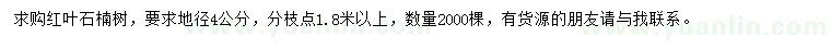 求購地徑4公分紅葉石楠
