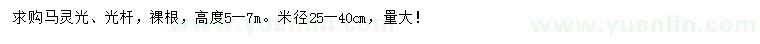 求購高5-7米馬靈光