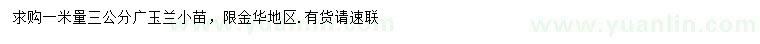求購1米量3公分廣玉蘭