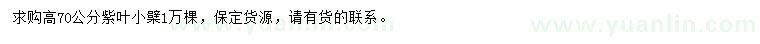 求購(gòu)高70公分紫葉小檗