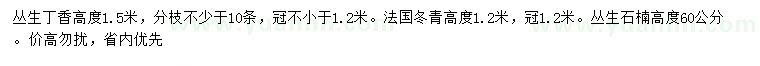 求購丁香、法國冬青、石楠