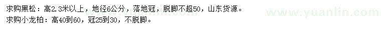 求購高2.3米以上黑松、40-60公分小龍柏