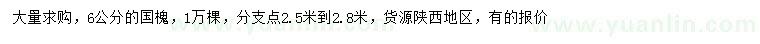 求購6公分國槐