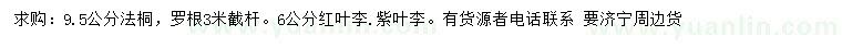 求購法桐、紅葉李、紫葉李