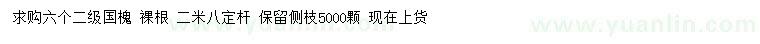 求購6公分國槐