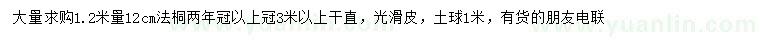 求購1.2米量12公分法桐