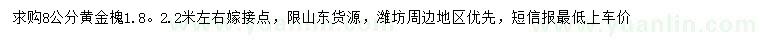 求購8公分黃金槐