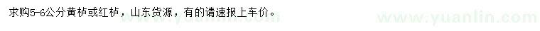 求購5-6公分黃櫨或紅櫨