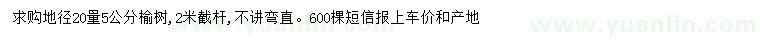 求購20量5公分榆樹