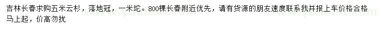 求購(gòu)5米云杉