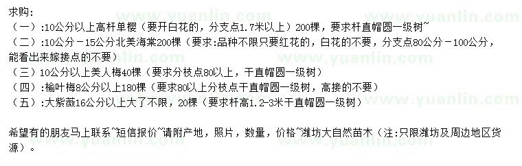 求購高桿單櫻、北美海棠、美人梅等