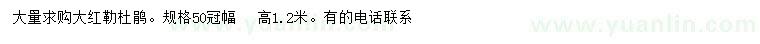 求購冠幅50公分大紅勒杜鵑