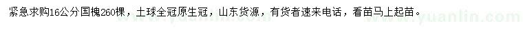 求購16公分國槐