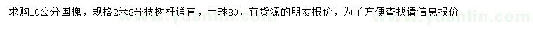 求購10公分國槐