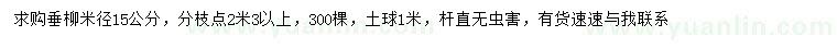 求購米徑15公分垂柳