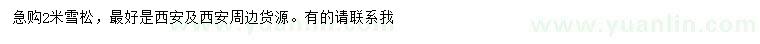 求購(gòu)2米雪松