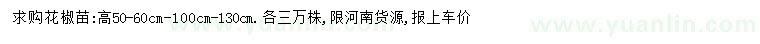 求購高50、60、100、130公分花椒苗