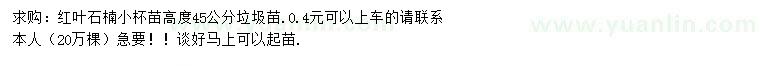 求購高45公分紅葉石楠