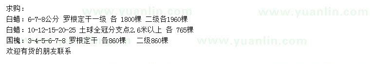 求購6-25公分白蠟、3-8公分國槐