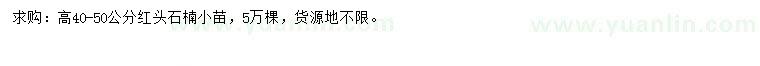 求購高40-50公分紅頭石楠小苗