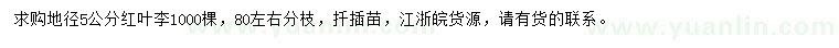 求購(gòu)地徑5公分紅葉李