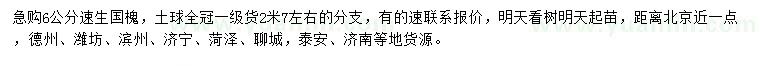 求購6公分速生國槐