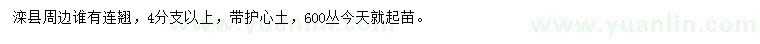 求購(gòu)4分支以上連翹