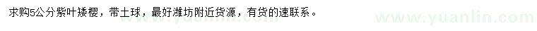 求購5公分紫葉矮櫻