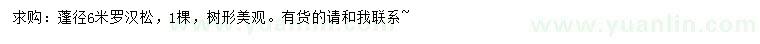 求購(gòu)蓬徑6米羅漢松