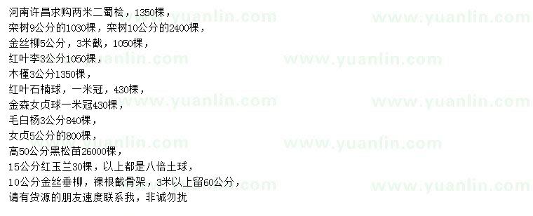 求購(gòu)蜀檜、欒樹(shù)、金絲柳等