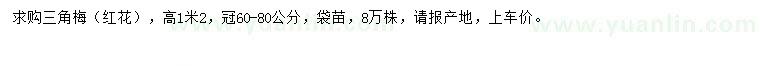 求購高1.2米三角梅