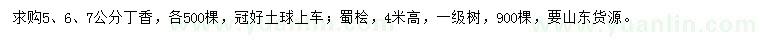 求購5、6、7公分丁香、高4米蜀檜