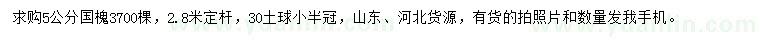 求購5公分國槐