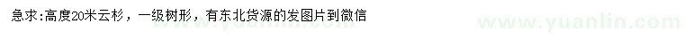 求購高度20米云杉
