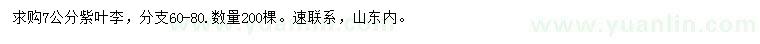 求購7公分紫葉李