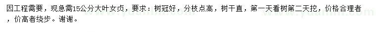 求購(gòu)15公分大葉女貞