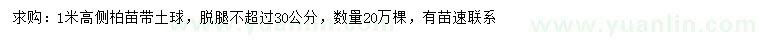 求購(gòu)高1米側(cè)柏