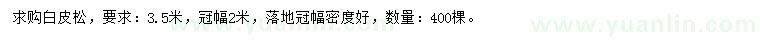 求購3.5米白皮松