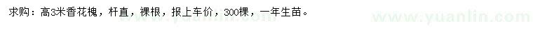 求購高3米香花槐