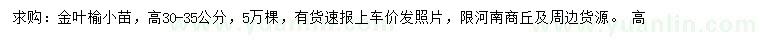 求購(gòu)高30-35公分金葉榆小苗