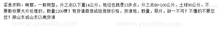 求購(gòu)14公分晚櫻