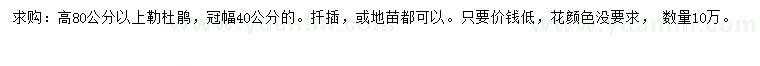 求購高80公分以上勒杜鵑