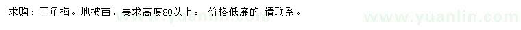 求購高80以上三角梅地被苗