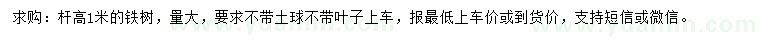求購(gòu)桿高1米蘇鐵