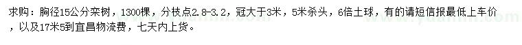 求購胸徑15公分欒樹