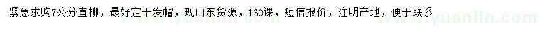求購7公分直柳