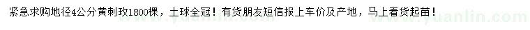 求購地徑4公分黃刺玫