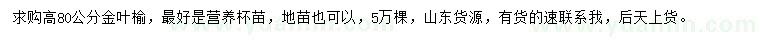 求購(gòu)高80公分金葉榆