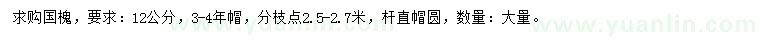 求購(gòu)12公分國(guó)槐