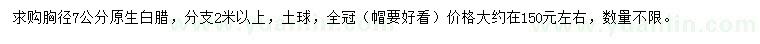 求購胸徑7公分白蠟